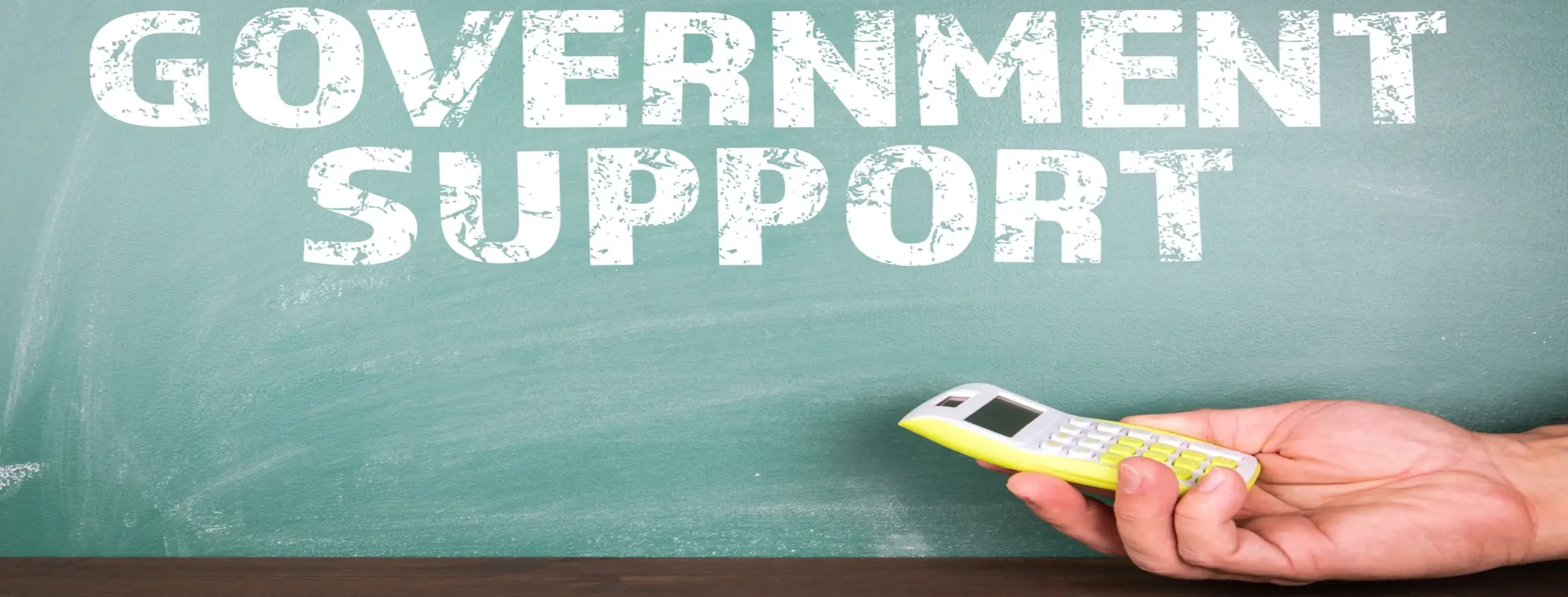 Image for Government Support